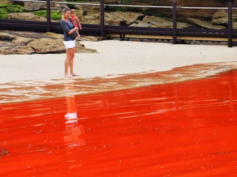 Photos: समंदर में नजर आया खून जैसे लाल पानी, रहस्य अभी भी बना हुआ है अनसुलझा