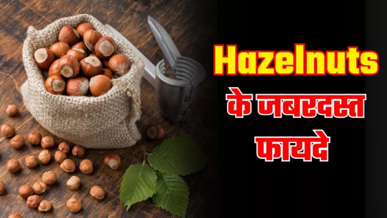 Hazelnuts: तेजी से वजन घटाने में मददगार, जानें इस सुपरफूड के अन्य अद्भुत फायदे