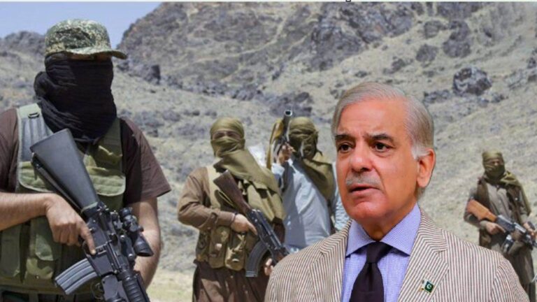 बलूच राष्ट्रीय आंदोलन ने बुसान में पाकिस्तान की सैन्य कार्रवाई के खिलाफ किया विरोध प्रदर्शन