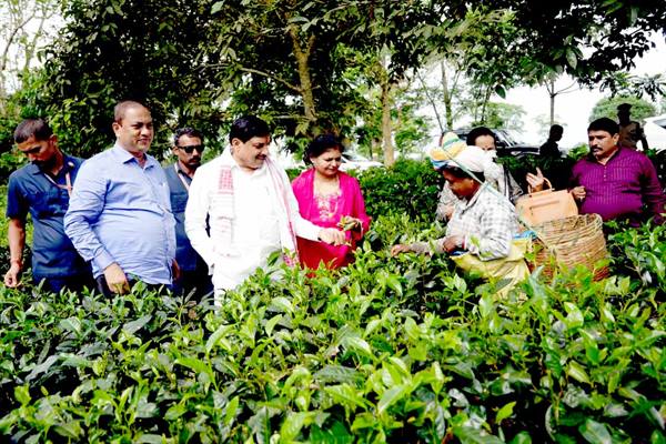 मध्यप्रदेश और असम के बीच वन्य जीव पर्यटन में साझेदारी के लिए होगी विशेष पहल : मुख्यमंत्री डॉ. यादव