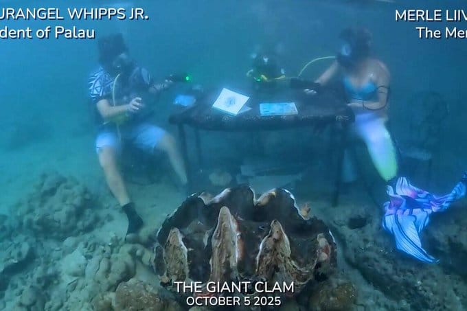 पलाऊ ने पानी के अंदर दुनिया के पहले सजीव साक्षात्‍कार का सफल आयोजन किया