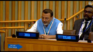 भारत ने बाल अधिकारों के हनन और सीमा पार आतंकवाद के लिए पाकिस्तान की कड़ी निंदा की