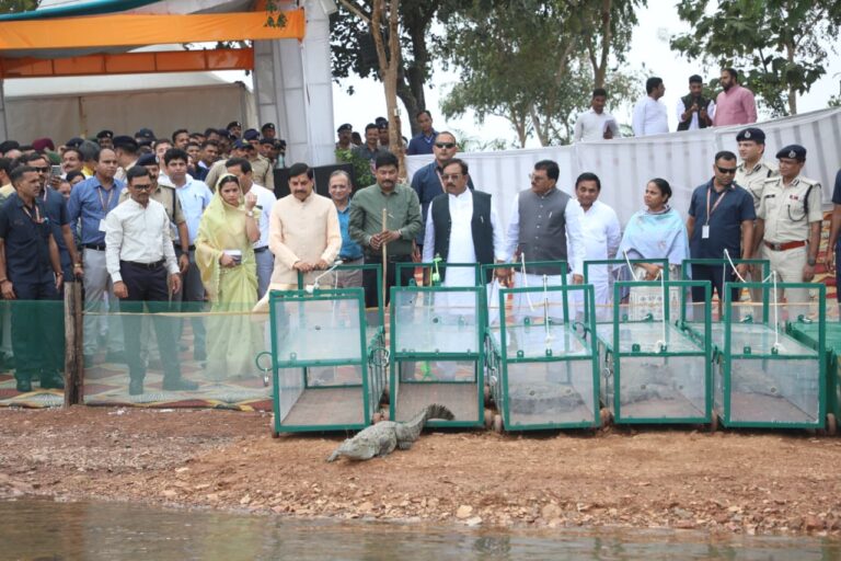 मुख्यमंत्री डॉ. मोहन यादव ने नर्मदानगर के साकल घाट पर 6 मगरमच्छों का कराया जलप्रवेश, जलीय पारिस्थितिकी संरक्षण की दिशा में बड़ा कदम