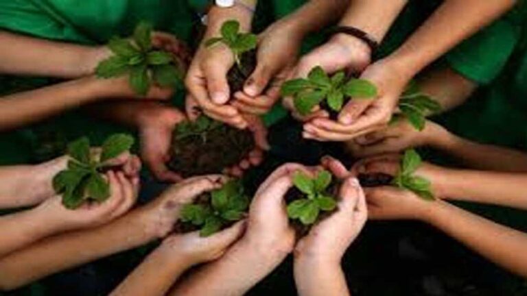 अमृत हरित महाअभियान में नगरीय क्षेत्रों में लगाए गए 35.59 लाख पौधे अधिकारी एवं विशेषज्ञ कर रहे हैं स्थल निरीक्षण, ‘अमृत मित्रों’ का प्रशिक्षण जारी