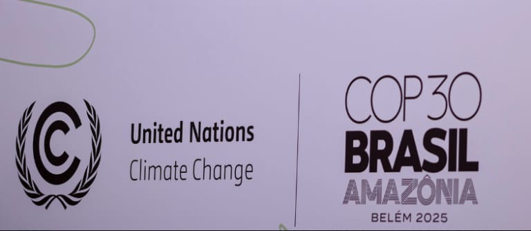 सीओपी-30 में वर्ष 2030 तक वैश्विक वनों की कटाई रोकने की अपील तेज, WWF और ग्रीनपीस ने उठाई मजबूत मांग