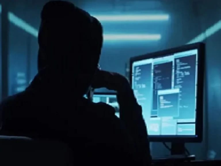 भारत में साइबर अपराध मामलों में बढ़ोतरी; एनसीआरबी रिपोर्ट के अनुसार 2023 में 33 हजार से अधिक केस दर्ज