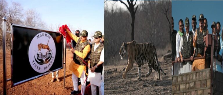 वर्ष 2025 में मिला मध्य प्रदेश को नया टाइगर रिजर्व, अब संख्या हुई नौ