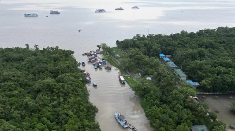 बांग्लादेश के सुंदरबन में समुद्री डाकुओं का डेरा, दहशत में मछुआरे