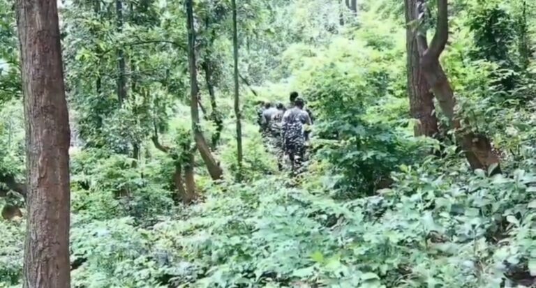 झारखंड के सारंडा जंगल में मुठभेड़ जारी, एक महिला नक्सली ढेर; सर्च ऑपरेशन तेज