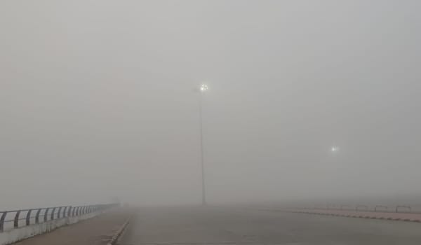 मौसम विभाग ने कई राज्यों में घने कोहरे और शीत लहर का अलर्ट जारी किया