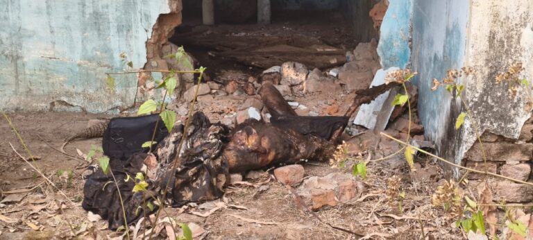 अनूपपुर में खंडहर मकान में युवती का सड़ा-गला शव मिला, पहचान की कोशिश में जुटी पुलिस