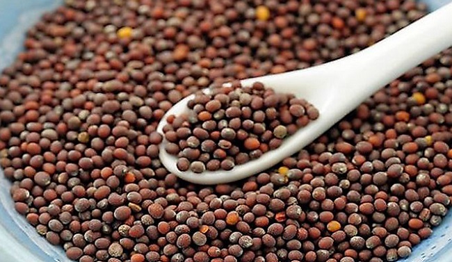 मप्र में आज से शुरू सरसों उपार्जन, भावांतर योजना के तहत किसानों को मिलेगा MSP का लाभ