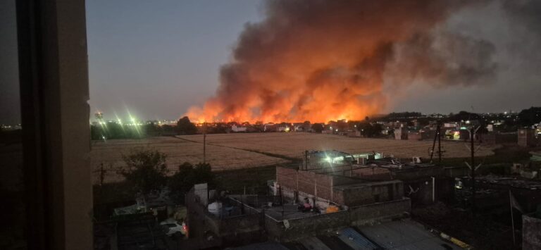 इंदौर एयरपोर्ट बाउंड्री के अंदर भीषण आग | चंदन नगर क्षेत्र के पास 500 मीटर तक पेड़ जलते रहे