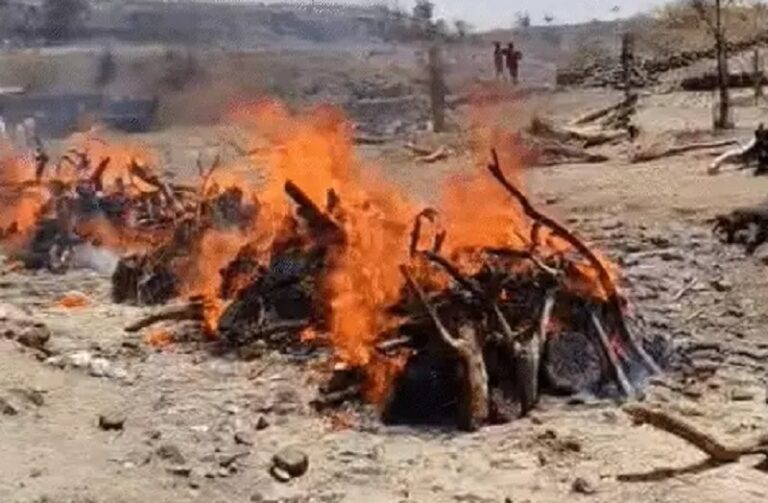 धार हादसा: तीन गांवों में 16 लोगों का अंतिम संस्कार, पूरे क्षेत्र में मातम, आर्थिक सहायता का ऐलान