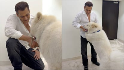 देर रात सलमान खान की पोस्ट वायरल, डॉगी संग शेयर किए ‘सुकून’ के पल