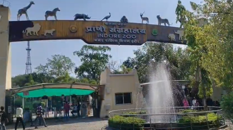 इंदौर में बढ़ती गर्मी को देखते हुए चिड़ियाघर प्रशासन सतर्क, पशु-पक्षियों के लिए विशेष इंतज़ाम