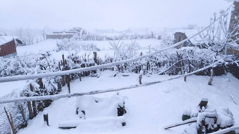 नेपाल में बर्फबारी और बारिश से जनजीवन प्रभावित, किसानों की बढ़ी चिंता