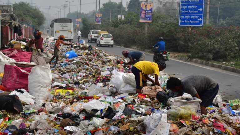 भवानीपुर में कचरे के ढेर से बिगड़ा खेल? ममता बनर्जी की हार की इनसाइड स्टोरी आई सामने