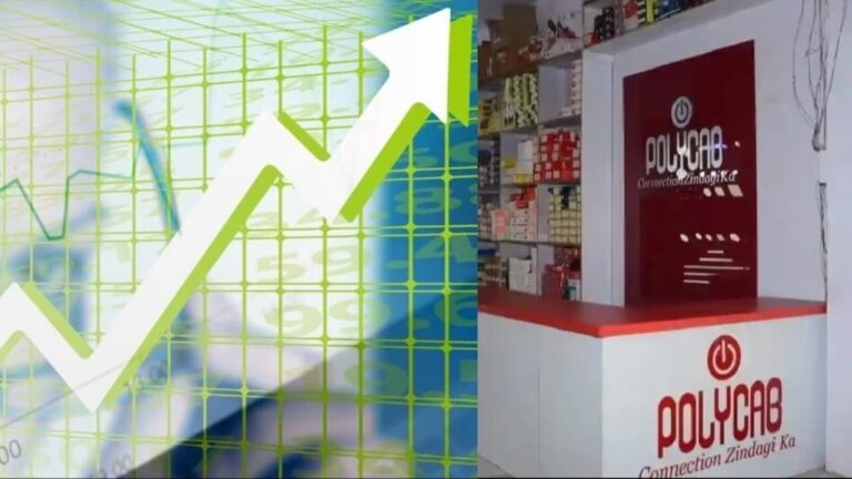 HSBC ने बढ़ाया पॉलीकैब इंडिया का टारगेट प्राइस, शेयर में 6% से ज्यादा की तेजी