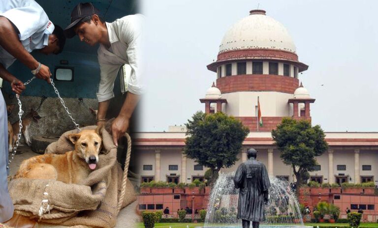 आवारा कुत्तों पर सुप्रीम कोर्ट सख्त, खतरनाक कुत्तों को मौत का इंजेक्शन देने की अनुमति