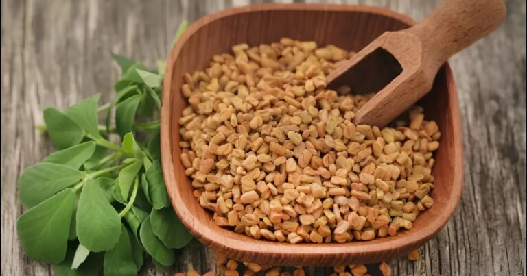 Methi Seeds Side Effects: गर्मी में ज्यादा मेथी दाना खाना पड़ सकता है भारी, भूलकर भी न करें ये गलतियां