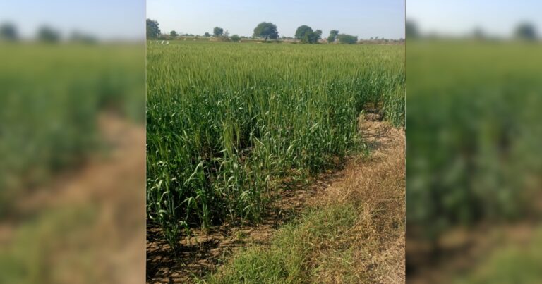इंदौर जनसुनवाई में ढाई करोड़ की जमीन के नामांतरण पर हंगामा, तहसीलदार पर गंभीर आरोप