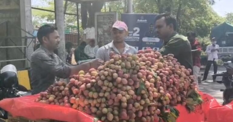 इंदौर की फल मंडी में लीची की बहार, बिहार-यूपी से पहुंच रही भारी खेप