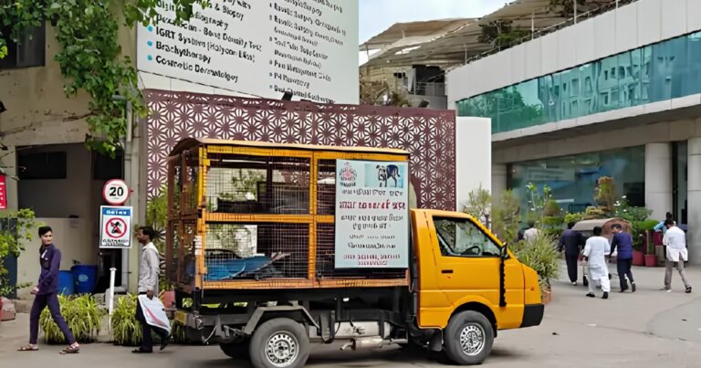 इंदौर में डॉग बाइट का आतंक जारी, अरबिंदो अस्पताल क्षेत्र से 23 कुत्ते पकड़े गए; 40 लोगों को काटने वाला कुत्ता अब भी फरार