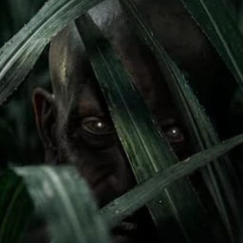 web thumbnail (19)
